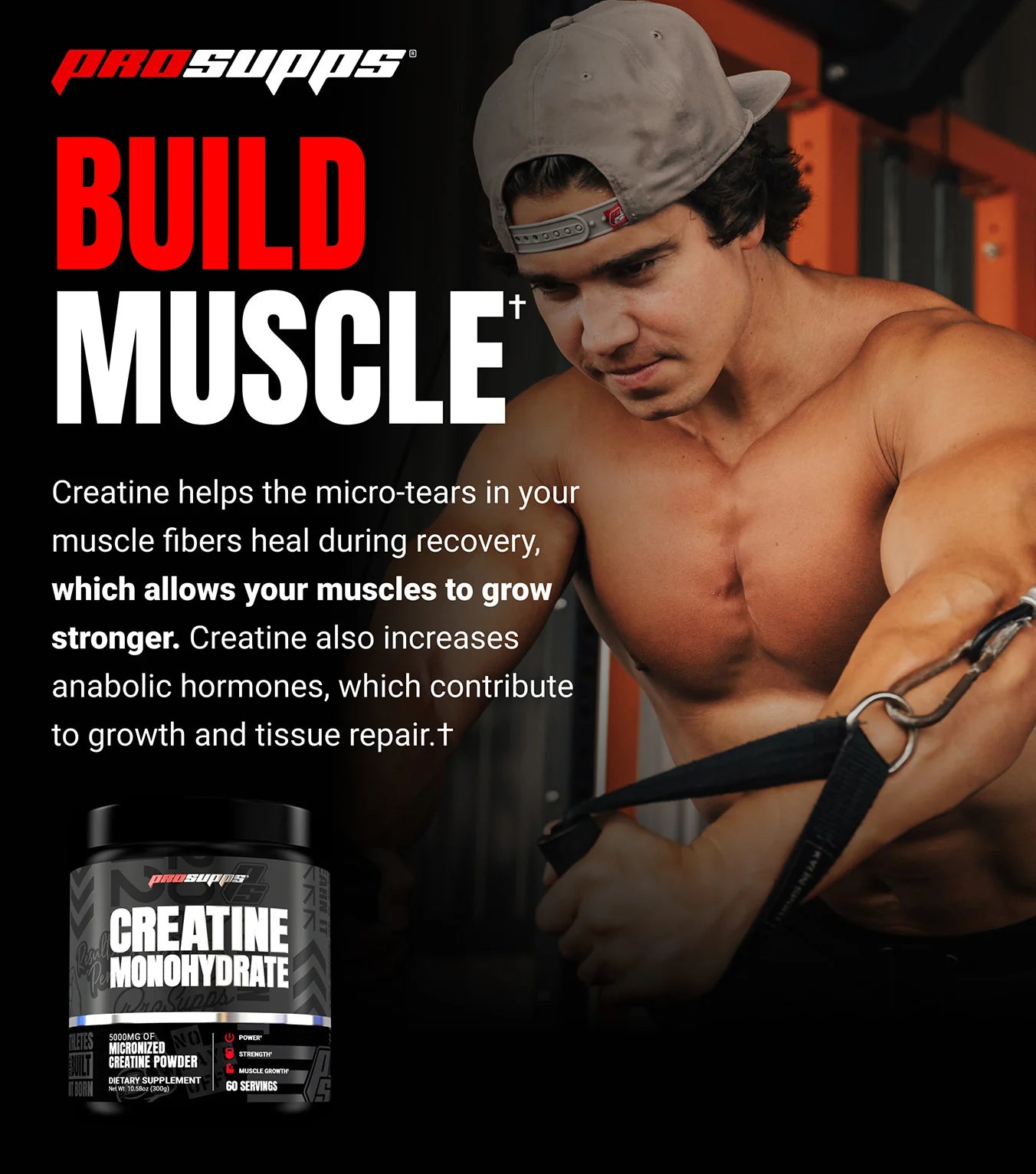 Creatine (60 servicios)